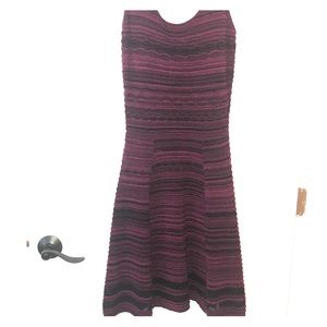 Purple and black net Jessica Simpson dress